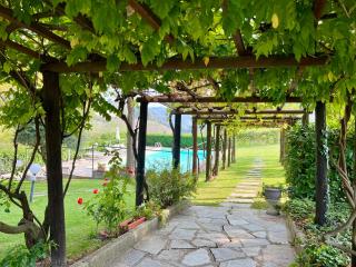 La Collina di Cesare - Calosso - 5