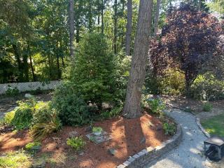 Cozy Home Surrounded by Trees - Federal Way - 3
