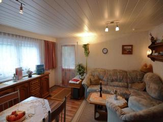 Holiday home in Thuringia - Neuhaus am Rennweg - 4