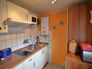 Holiday home in Thuringia - Neuhaus am Rennweg - 2