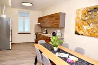 Euro Apartments Křenová 75 Brno - Brno - 7