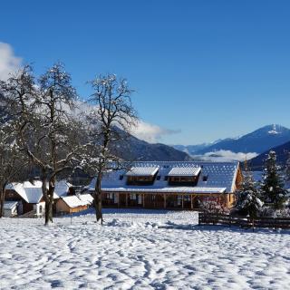 Nest Lodge - 9
