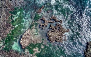Jims Folly - 7