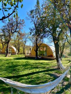 Alunis GLAMPING - Aluniş - 7