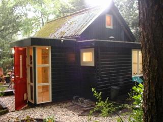 In the middle of the Gooise landscape - Huizen - 5