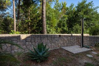 Apartment Agava - Seline - 1