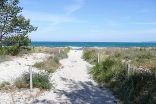 Villa Seeschwalbe FeWo 10 - Balkon, Meerblick - Breege - 6