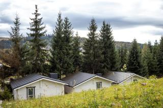 Villa Olexandr&Matvii - Bukovel - 2