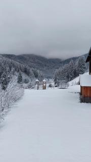 Landhaus Grünjuwel - 9