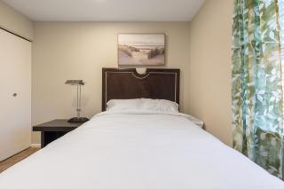 Home near Dulles Airport & Metro - 1