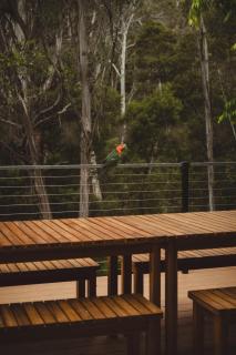 Koinonia AMS Mt Buller - Off Mountain Accommodation - Merrijig - 3