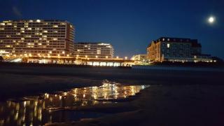Andreas-Nielsen-Str. 12, W2 - Westerland - 1