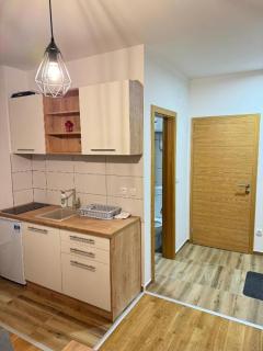 Srebrena Vila apartman 2 Jahorina - 4