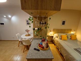 Warm Studio Apartment In downtown Mendoza - Mendoza - 7