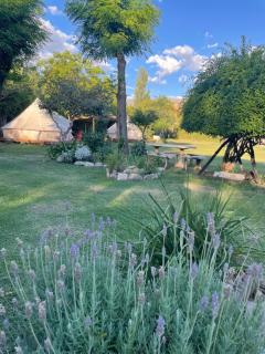 GLAMPING RANCHO ALEGRE - Merlo - 8