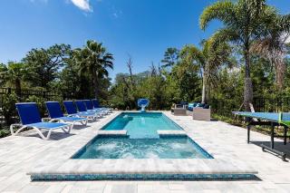 Lavish 4 Bdrm Estate with Home Theater in Reunion - Kissimmee - 9