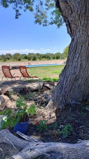 Comarca del Olivo - 4