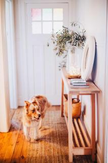 Experience The Charm Of Little Plains Homestead - Gunnary - 5