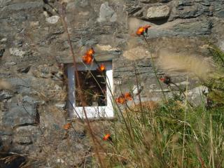 1 Penygroes - Penmachno - 2