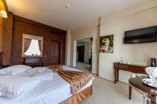 Hotel Rexton - Craiova - 9