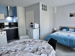 Studio moderne à Plouhinec, WIFI, parking, animaux acceptés - FR-1-479-184 - Plouhinec - 8
