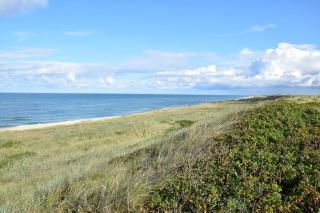 Dünengrund 3, W5, liebeUNDträume - Rantum - 1