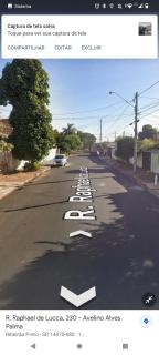 Salomão - Ribeirão Preto - 1
