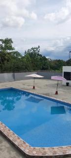 vivendo - 1