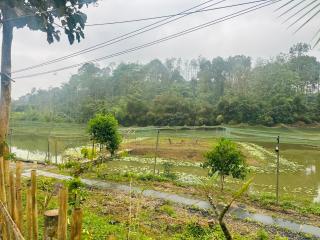 Spanish Bungalow - Kalpetta - 4