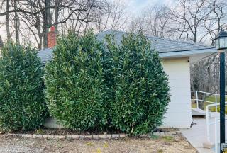 Private & Quiet Guest House I 15 Min from DC - Oakton - 6