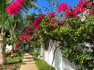 La Bonitovilla 丛林里的花园别墅 - 3