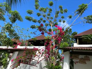 La Bonitovilla 丛林里的花园别墅 - Panglao Island - 4