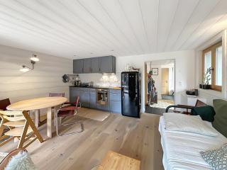 Perfect Lodge 10 mns from Verbier, Swiss Alps - Sarreyer - 5