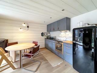 Perfect Lodge 10 mns from Verbier, Swiss Alps - Sarreyer - 7