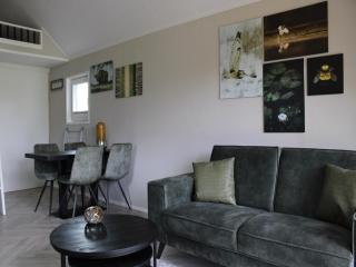Holiday Park Near Recreational Lake - Lathum - 5