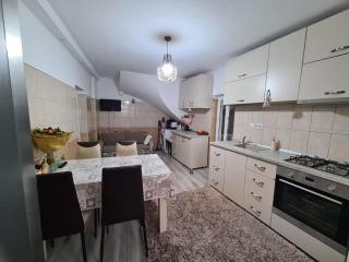 Guesthouse Citycenter - Craiova - 4