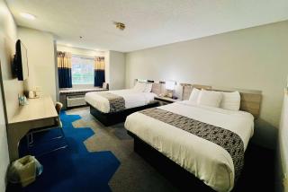 Microtel Inn Georgetown - Lexington North - 3
