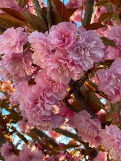 Waipara Valley Escape - 9