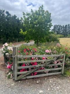 Waipara Valley Escape - - 6