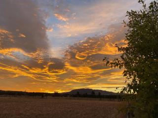 Waipara Valley Escape - - 3