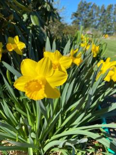 Waipara Valley Escape - - 2