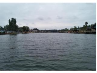 Alif Laila Group of Houseboats,Ghat No-9 Boulevard Road Dal Lake, Srinagar - Srinagar - 4