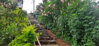 Spinson Home Stay - Madikeri - 4