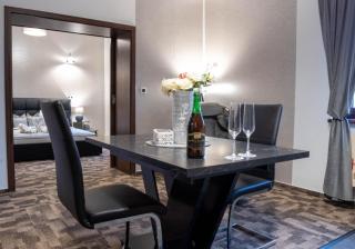 Wellness Hotel Beethoven - Chomutov - 1