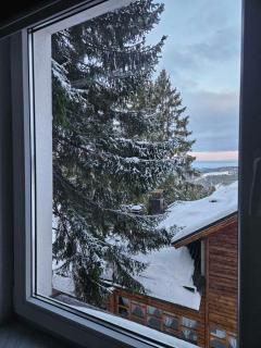 Apartman D&A - Šišava - 1