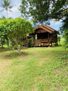 บ้านสวนแค้มป์ปิ้ง ท้ายเขื่อน วังน้ำเขียว - Wang Nam Khieo - 0
