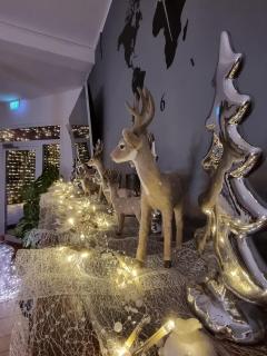Hotel Kurhaus Uhlenberg - Bad Münstereifel - 7