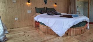 Hikers Wooden The Cedarwood Glass Tree house - Jibhi - 3