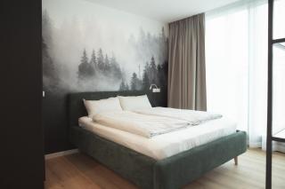 Black Forest Suites - Achern - 9