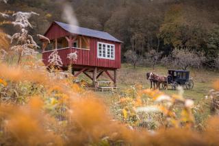 Valea Verde Retreat Transilvania - Cund - 0